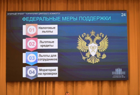 Михаил Дегтярев: краевое имущество является одной из составляющих экономической основы деятельности правительства региона