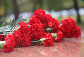 Всероссийский турнир по самбо памяти героев-пограничников стартовал в Хабаровске