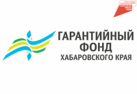 Начинающие предприниматели в Хабаровском крае получили кредитов на 512 млн рублей