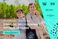 Жителей края приглашают поучаствовать в конкурсе по созданию лесных отрядов