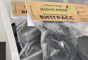 Поставки микрозелени и сока из пшеницы расширит хабаровский предприниматель благодаря центру 
