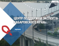 Льготное кредитование и гарантийная поддержка доступны экспортёрам Хабаровского края