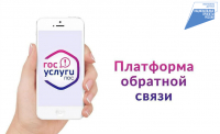 Почти три тысячи виджетов Платформы обратной связи размещены в госпабликах Хабаровского края