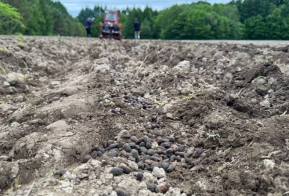 В лесном питомнике села Некрасовка лесоводы приступили к посеву семян