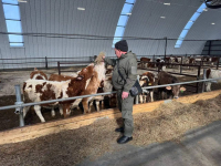 Новый телятник построил фермер из Хабаровского района благодаря господдержке