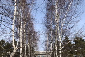 Краевые власти помогут отремонтировать школу и детский сад в селе Богородское