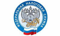 В налоговых органах Хабаровского края приостановлен прием граждан и перенесены сроки отчетности
